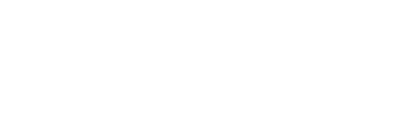 Essence Festival logo